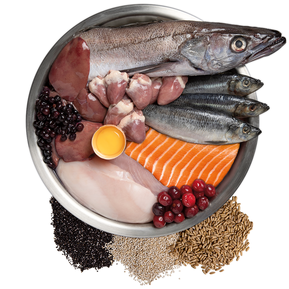 Wholeprey Ingredient Bowl